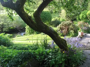 Cottage with barbecue & garden | Water view - Image 3