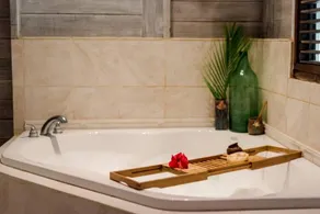 Chic Private Vacation Rental with Breakfast and Indoor Jacuzzi in Barbados - Image 3
