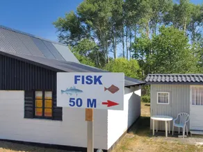 "Tine" - 600m from the sea - Image 2