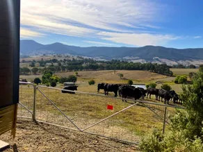 Stunning Tiny House with Fantastic Views in Osbornes Flat, Victoria - Image 5