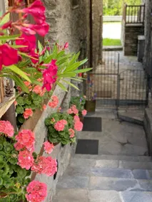 Appartamento con terrazza | Ammette animali domestici - Image 2