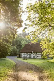 Forester's House With Sauna Near Eggegebirge - Image 2