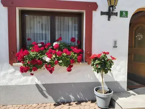 Haus Anita - Image 5