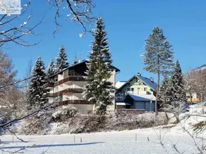 Apartment In Bad Mitterndorf - Steiermark 41122 - Image 3