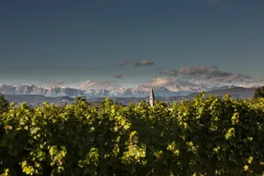 Wine Relais Lis Neris: AZZURRA - Image 3