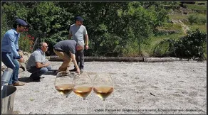 Grange gauche by Domaine RIBERACH - Image 3