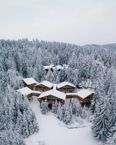 Family-oriented wonderful holiday home with garden, terrace & sauna - Image 3