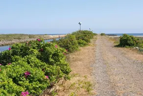 Beautiful holiday home with hot tub, garden & barbecue | Next to the beach | Dogs allowed - Image 3
