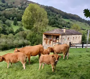 Country House 'Lo Miñarro' with Mountain View, Private Terrace and Wi-Fi - Image 2