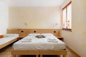 Room 'Agritur Dalcastagnè Girasole' with Mountain View, Shared Terrace and Wi-Fi - Image 3