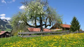 Apartment with BBQ & garden | Mountain view - Image 2