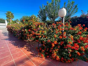 Villa avec terrasse, jardin et barbecue | Vue jardin - Image 5