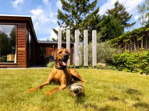 Family-friendly nice bungalow with terrace & heated pool | Pets allowed - Image 3