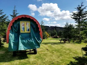 Cozy Rustic Gypsy Caravans in Wicklow Countryside, Ireland - Image 2