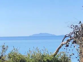 Wonderful dedicated room with terrace | Sea view | Next to the beach | Pets allowed - Image 2