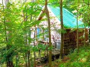 Solar-Powered Tree House in the Canadian Woods near Toronto, Ontario - Image 5