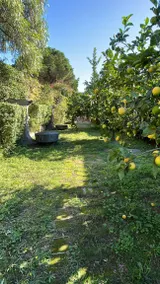 Borgo Piazza Country Farm: Junior Suite 4 sul laghetto - Image 2