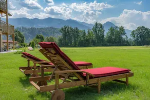 Family-friendly nice holiday apartment with sauna, garden & terrace | Mountain view - Image 4