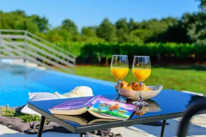 Fully equipped nice villa with pool, barbecue & terrace | Pet-friendly - Image 2