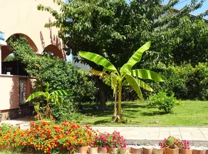 Apartmani Luna - Two Bedroom Apartment - Image 3