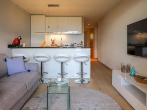 apartment with big garden and stunning view Chesieres - Image 3