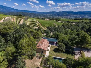 House with BBQ, sauna & jacuzzi | Panoramic view - Image 3