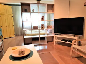 Schöne neu renovierte Wohnung in der Nähe des Zentrums - Image 4