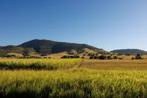 Secluded Tiny House Perfect for Water Activities and Family Time in Queensland, Australia - Image 4
