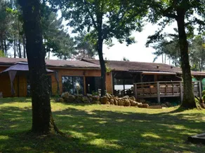 Child-friendly lovely chalet with heated pool & terrace | Pet-friendly - Image 2