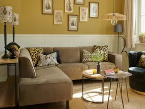Colorful Holiday Home in Baarlo Near Boating With Hot Tub - Image 3