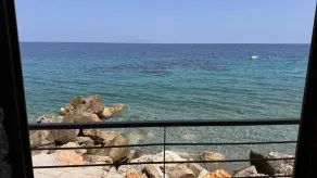 Muralis Mare - Image 4