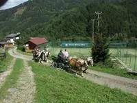 Naturparkgaststätte und Bio-Bauernhof Leitner - Image 2
