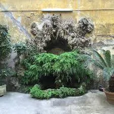 Armonia - Image 3