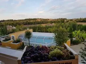 Maison de vacances conviviale et familiale avec terrasse, jardin et barbecue | Vue panoramique | Avec animaux autorisés - Image 4