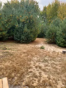 Sawyers Eco Cabin - Image 4