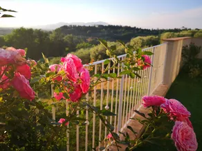 Villa Toscana - Image 5