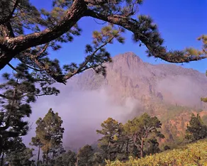 Cabaña El Nublo - Image 5
