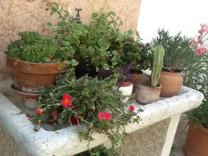 Bed and Breakfast Al Giardinetto - Image 4