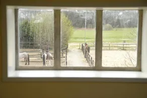 B&B Hoeve Morgenster - Image 3