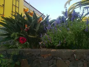 Apartamentos Villa María - Image 4