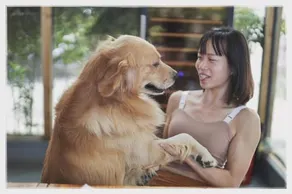 Dali Village Farmstay - Image 2