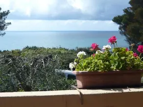 Hotel Vinicio - Image 4