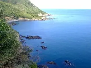 La Pavoncella - Image 4