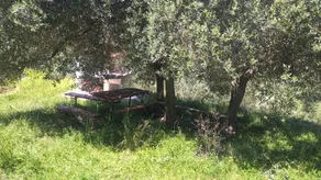 Apartments Mediterranea - Image 2