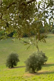 San Rocco Country House - Image 2
