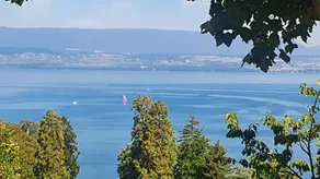 Studios Vue Lac Leman - Image 4