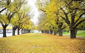 A Comfy & Cozy Apt in Clifton Hill, Free Parking - Image 2