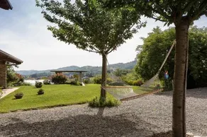 Il Sambuco Innamorato - Image 4
