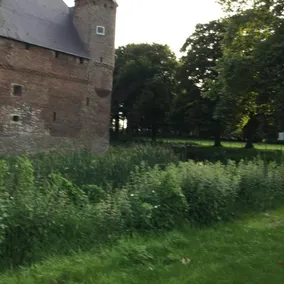 De Terp - Image 3