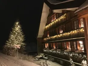 Neuschwendihof - Image 4